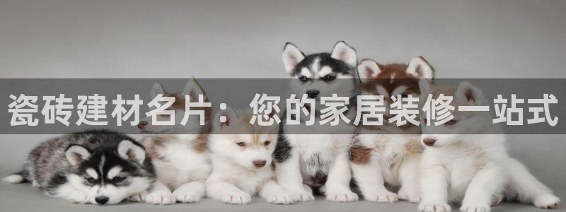 杏鑫官网注册账号是什么