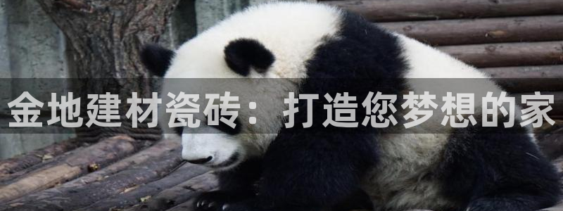 杏鑫平台代理注册多少钱啊