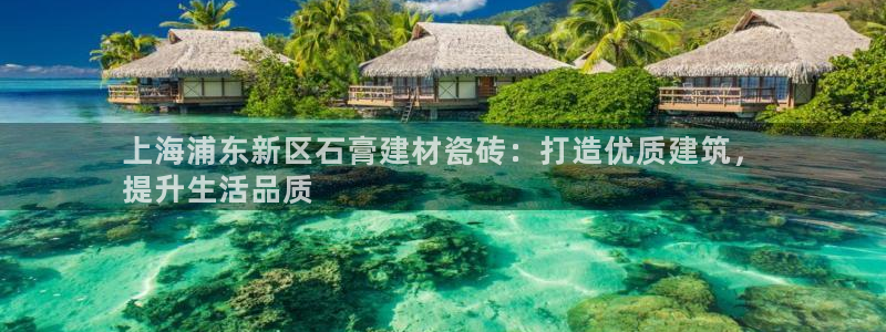 杏鑫平台注册地址在哪里