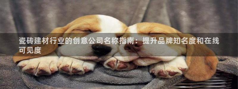 杏鑫平台注册地址在哪里