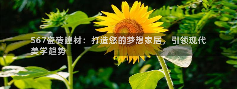 杏鑫平台在线注册流程