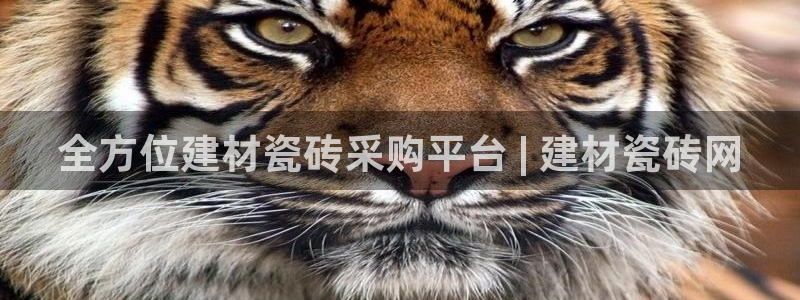 杏鑫平台是黑平台吗知乎