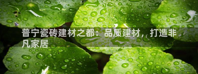杏鑫官方平台怎么样啊知乎