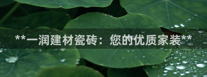 杏鑫平台怎么样黑钱吗安全吗可靠吗