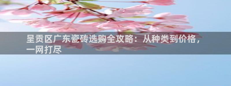 杏鑫注册平台官方网站是什么