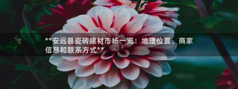 杏鑫平台代理怎么样可靠吗