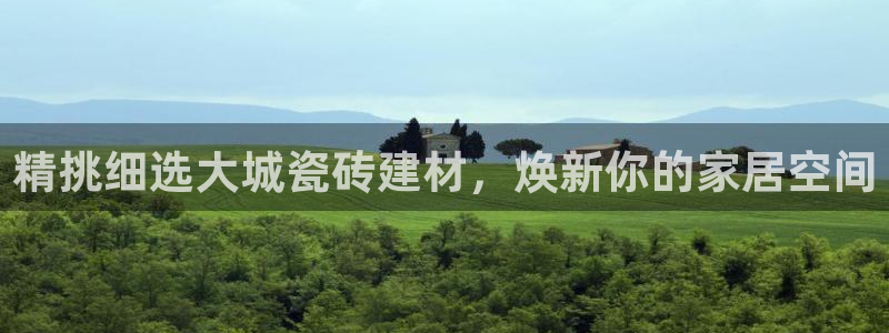 杏鑫平台代理怎么样