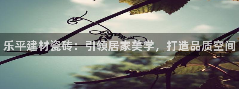 杏鑫手机客户端怎么下载