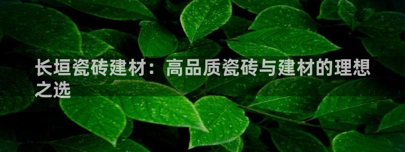 杏鑫平台代理注册流程视频