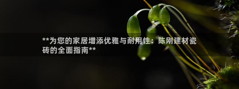 杏鑫平台注册入口在哪里找