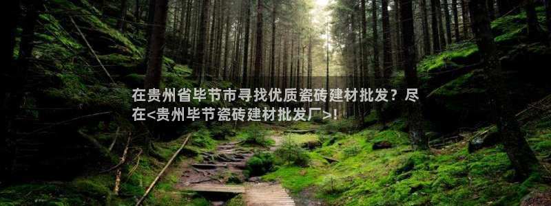 杏鑫平台登录地址在哪