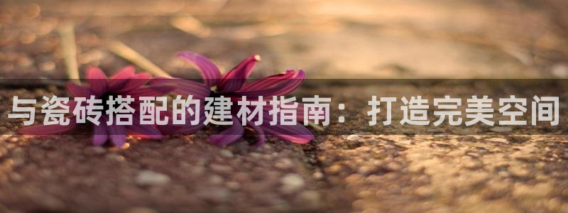 杏鑫官方平台怎么样啊知乎