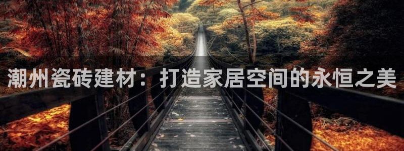 杏鑫手机客户端