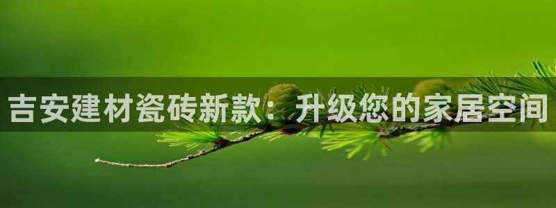 杏鑫平台正规吗可信吗