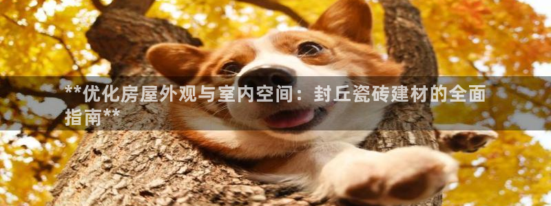 杏鑫代理注册资金多少