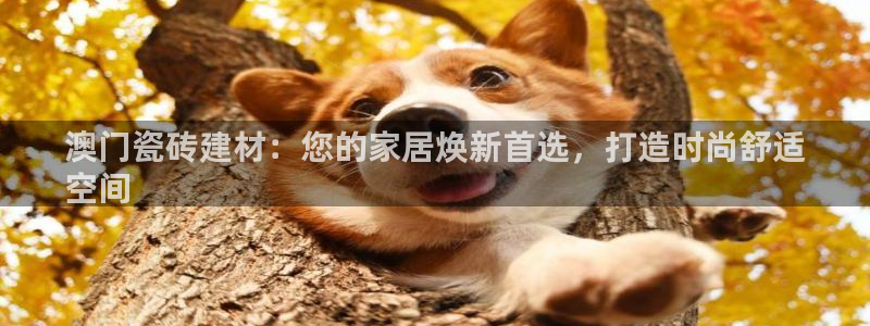 杏鑫娱乐官方网站客户端登录