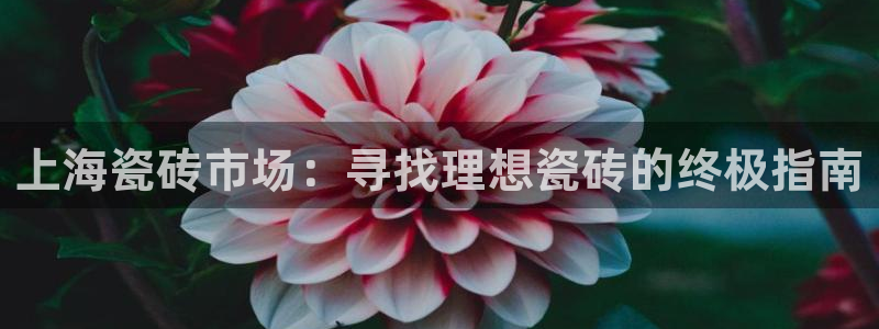 杏鑫平台怎么样黑钱吗安全吗