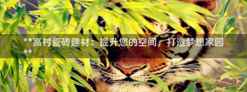 杏鑫官方平台怎么样