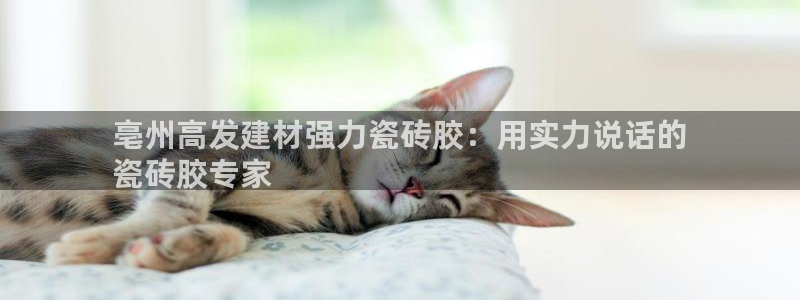 杏鑫平台代理注册多少钱啊