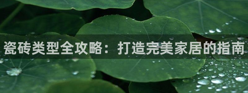 杏鑫平台招商怎么样啊
