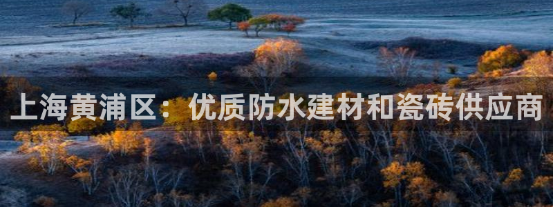 杏鑫平台代理注册登录不了怎么办呀视频