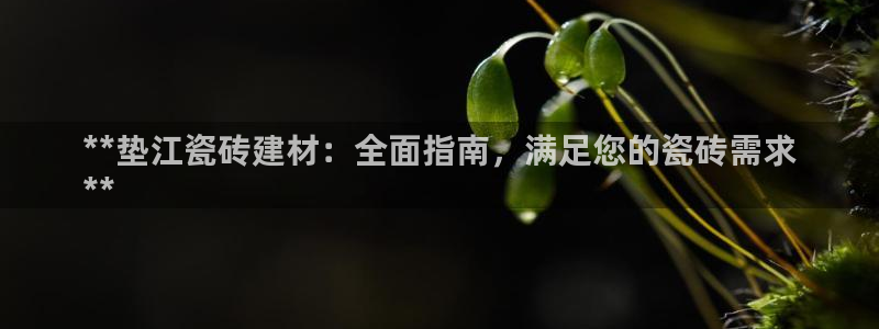 杏鑫娱乐开发团队