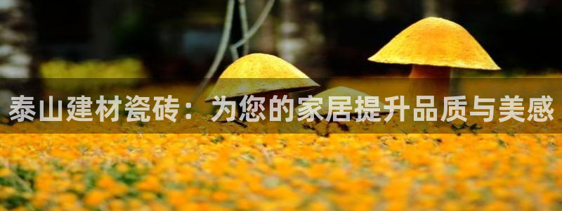 杏鑫平台注册网址查询