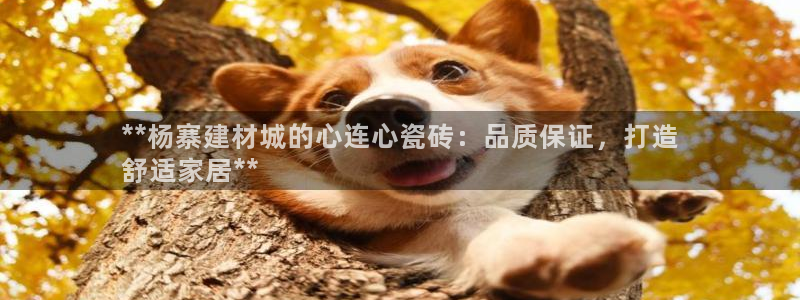 杏鑫平台代理怎么样赚钱