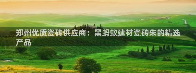 杏鑫平台注册网址查询