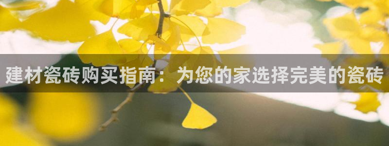 杏鑫平台代理怎么样