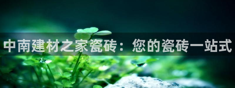 杏鑫娱乐官网登录