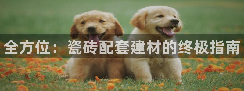 杏鑫平台线路测速