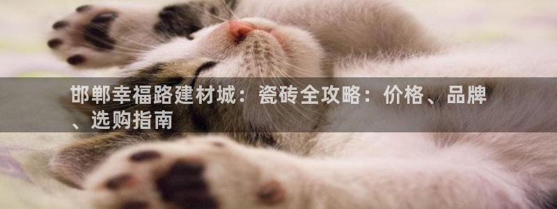 杏鑫平台登录地址查询