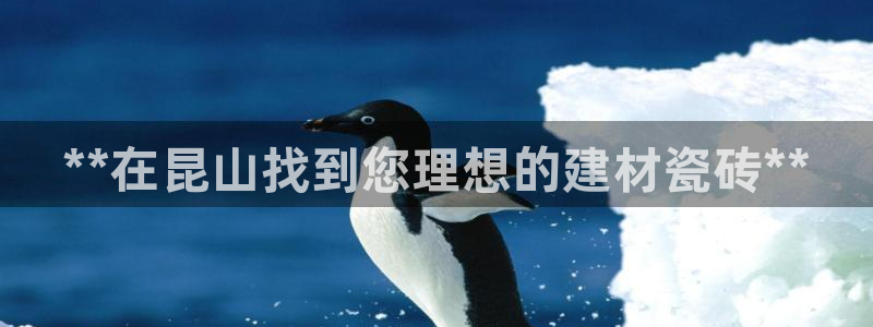 杏鑫平台招商怎么样可靠吗