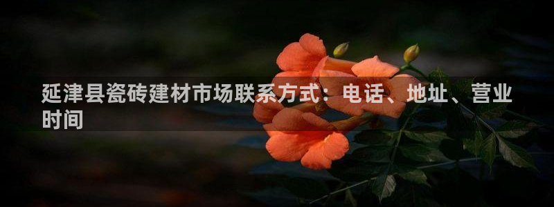 杏鑫主管
