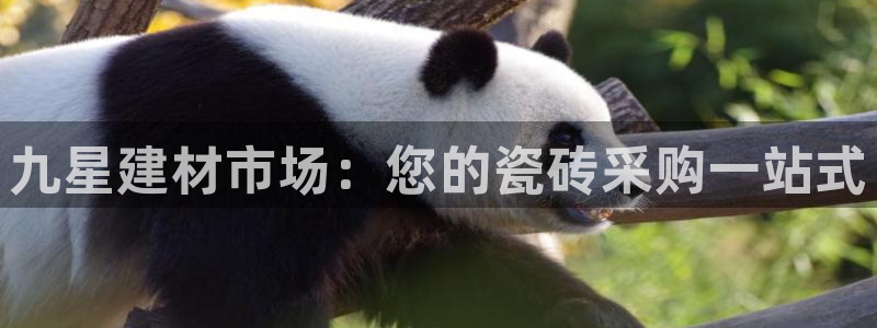 杏鑫代理注册登录