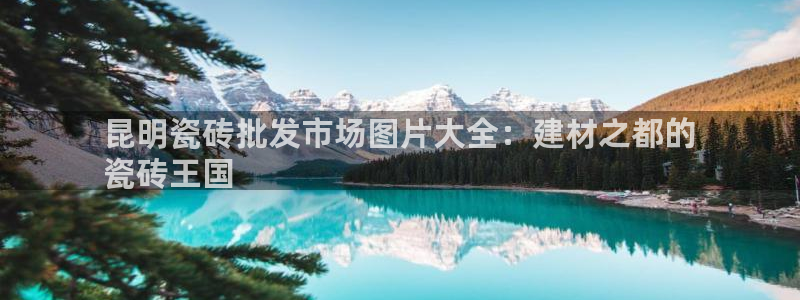 杏鑫平台线路测速