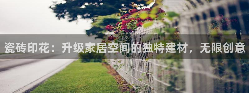 杏鑫注册登录