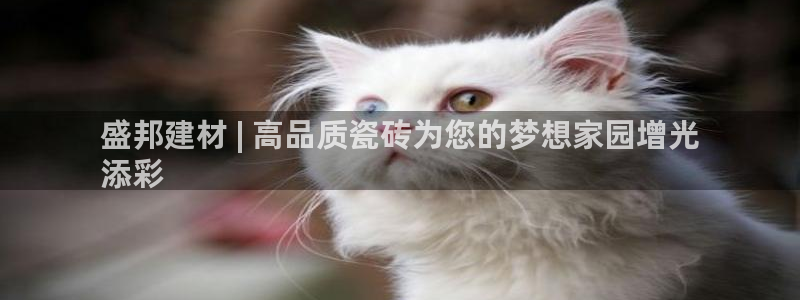杏鑫官方平台怎么样啊安全吗