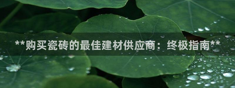 杏鑫平台招商电话号码