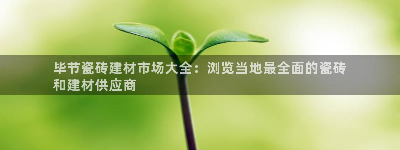 杏鑫娱乐开发团队