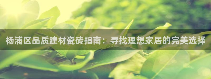 杏鑫娱乐官方网站客户端登录