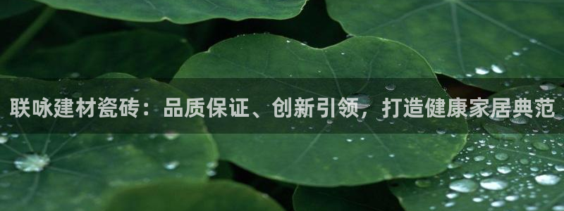 杏鑫平台招商电话