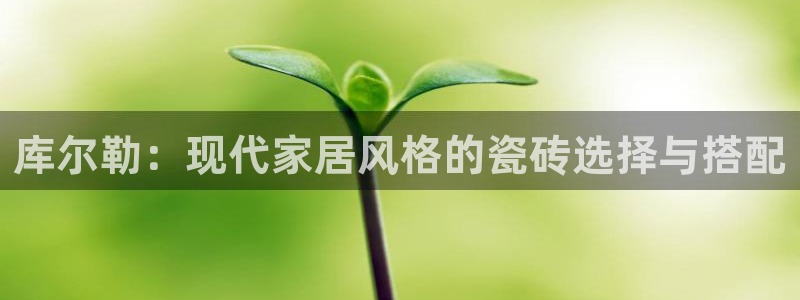 杏鑫娱乐官网登录