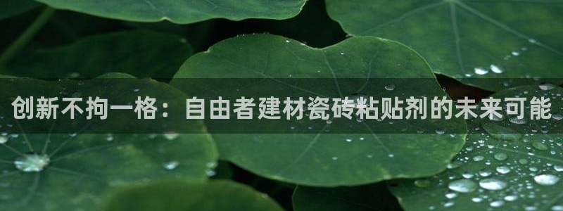 杏鑫娱乐官方网站客户端