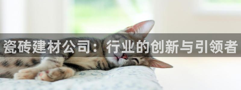 杏鑫官方平台怎么样啊知乎