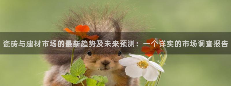 杏鑫平台正规吗