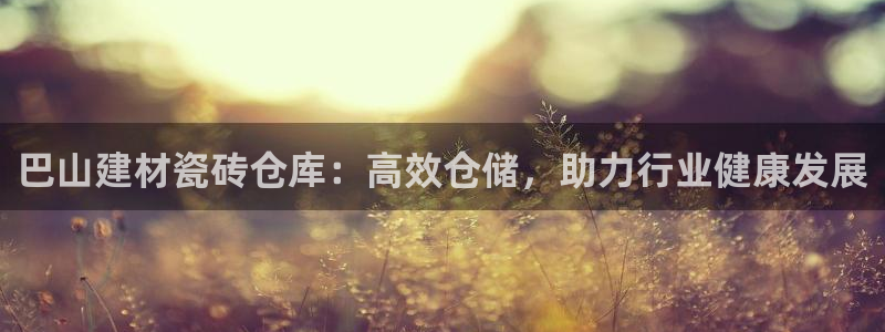 杏鑫代理注册平台