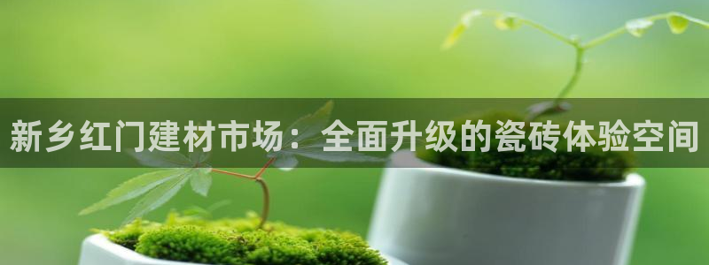 杏鑫注册登录网址是多少