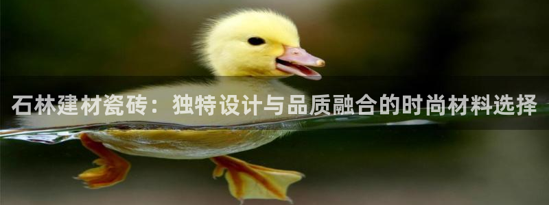 杏鑫官方app代理